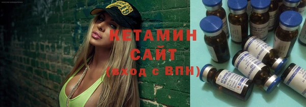 индика Вяземский
