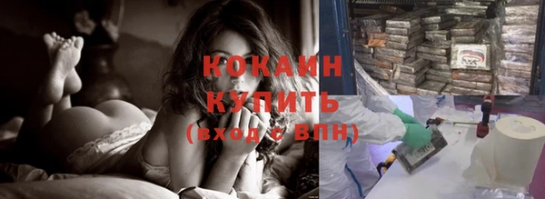 индика Вяземский