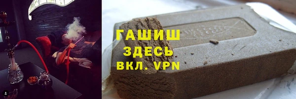 индика Вяземский
