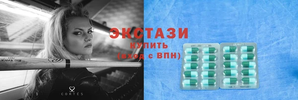 индика Вяземский