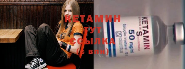 индика Вяземский