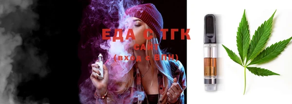 индика Вяземский