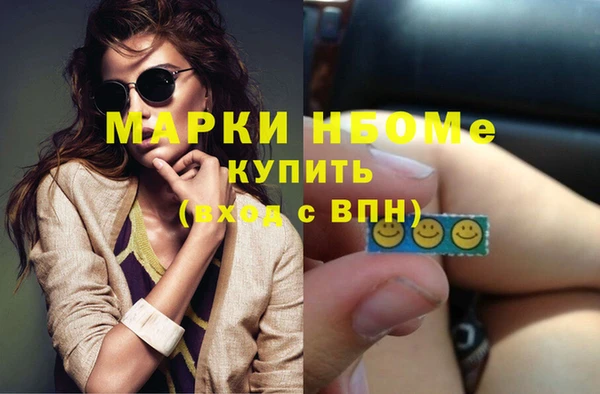 стафф Вязьма