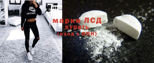 индика Вяземский