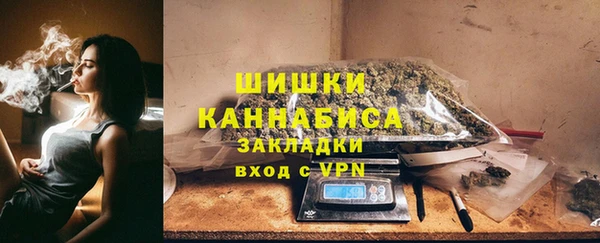 стафф Вязьма