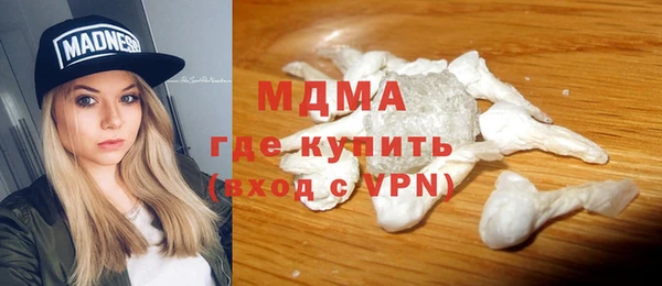 индика Вяземский