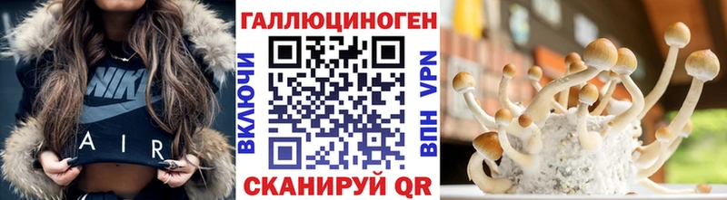 Галлюциногенные грибы GOLDEN TEACHER  цены   Дегтярск 